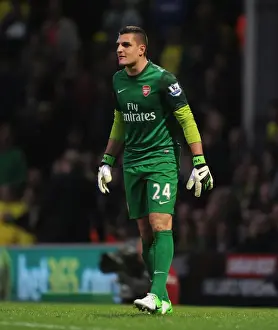 Norwich City V Arsenal 2012-13 Prints: Vito Mannone: Arsenal's Goalkeeper at Carrow Road (Norwich City vs Arsenal, 2012-13)