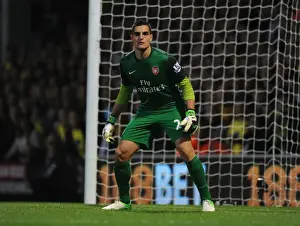 Norwich City V Arsenal 2012-13 Prints: Vito Mannone: Arsenal's Goalkeeper at Norwich City (2012-13)