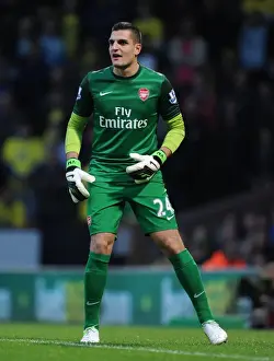 Norwich City V Arsenal 2012-13 Prints: Vito Mannone: Arsenal's Heroic Performance Against Norwich City (2012-13)