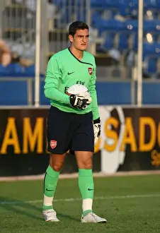 Burgenland XI V Arsenal Prints: Vito Mannone's Shining Debut: Arsenal's Dominance in 2008 Pre-Season Match vs Burgenland