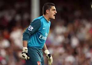 Fulham V Arsenal 2009-10 Prints: Vito Mannone's Triumph: Arsenal's 1-0 Victory at Fulham, 2009
