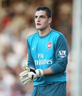 Images Dated 26th September 2009: Vito Mannone's Unforgettable Performance: Arsenal's 1-0 Victory at Fulham, September 2009
