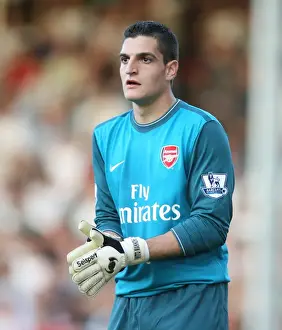 Vito Mannone's Unforgettable Performance: Arsenal's 1-0 Victory at Fulham, September 2009