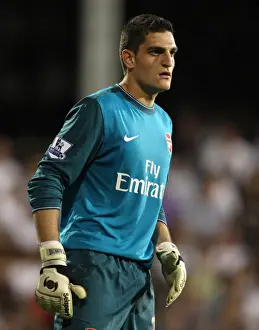 Fulham V Arsenal 2009-10 Prints: Vito Mannone's Victory: Arsenal's 1-0 Triumph Over Fulham, 2009