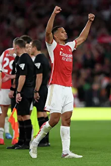 William Saliba's Emotional Victory Celebration: Arsenal's Premier League Triumph over Manchester City (2023-24)