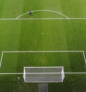 Wojciach Szczesny (Arsenal). Arsenal 1: 1 Everton. Barclays Premier League. Emirates Stadium