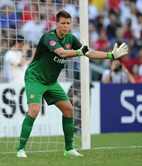 Wojciech Szczesny: In Action for Arsenal FC against Kitchee (2012-13)