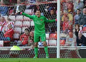 Wojciech Szczesny: Arsenal's Unyielding Guardian at Sunderland (2013-14)