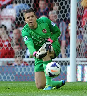 Wojciech Szczesny: Arsenal's Wall at Sunderland (2013-14)