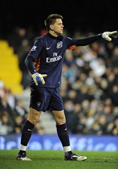 Wojciech Szczesny: Focused at the Fulham Match, 2012