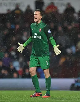 Wojciech Szczesny: Unyielding Guardian of Arsenal at Villa Park (2012-13)