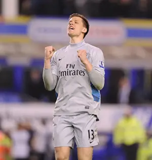 Wojciech Szczesny's Triumph: Arsenal's Victory at Goodison Park (Everton vs Arsenal, Premier League 2011-12)