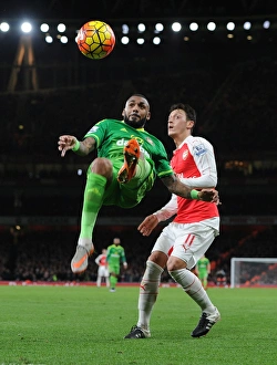 Arsenal Sunderland 2015-16 Prints: Yann M'Vila's Intense Clash: Arsenal vs. Sunderland, 2015-16 Premier League